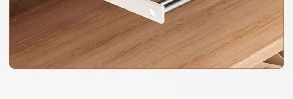 Adjustable Shoe Holder