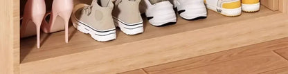 Adjustable Shoe Holder