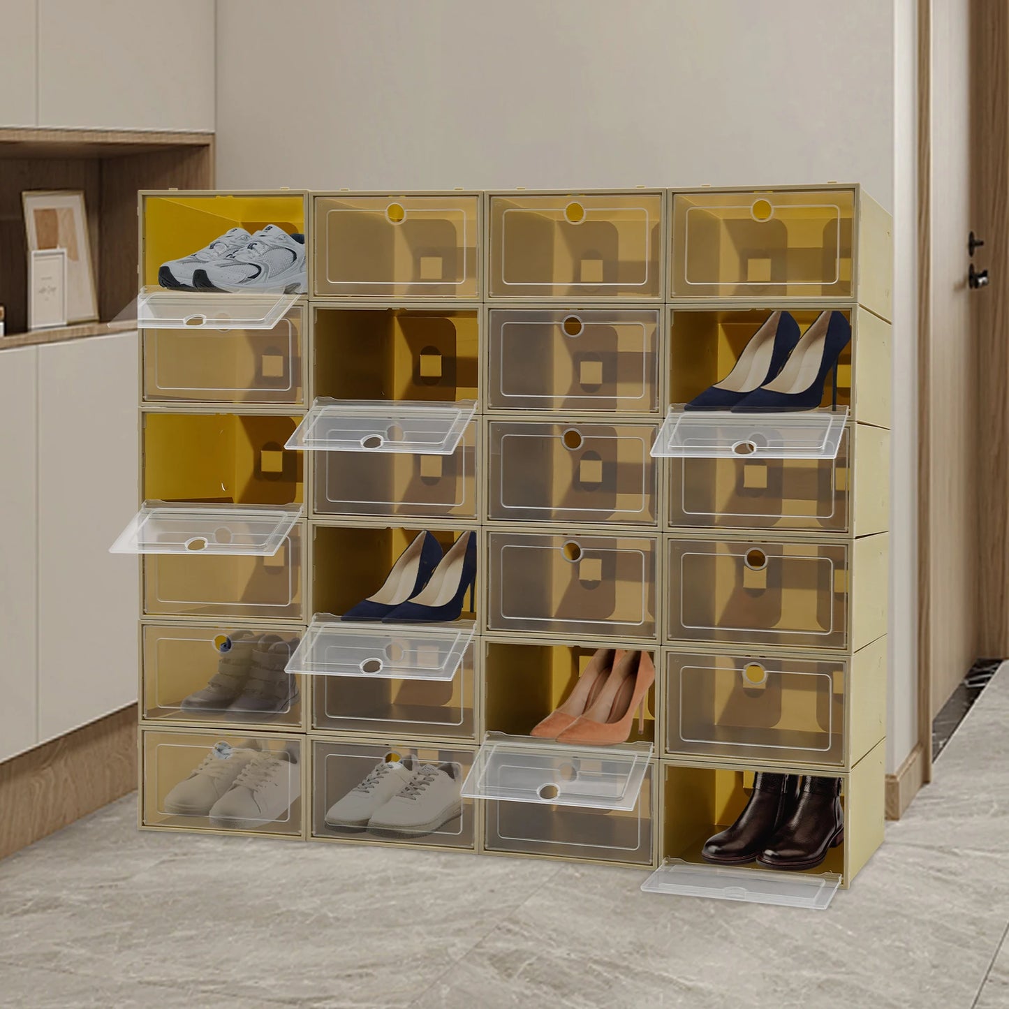 Transparent Shoe Rack